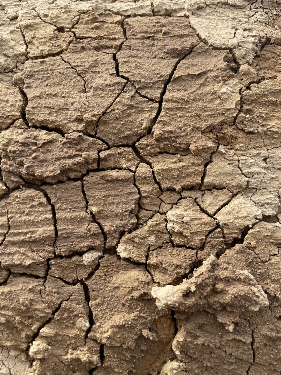Cracked, drought-stricken earth