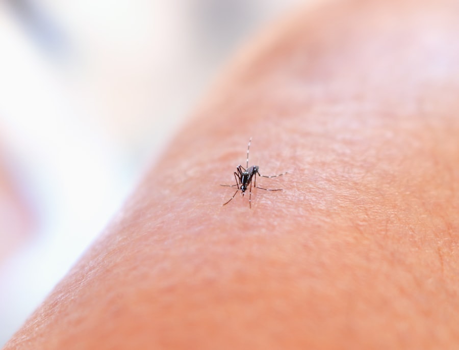 Mosquito on human skin